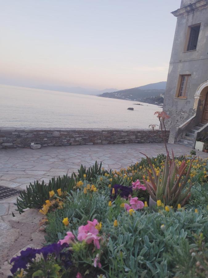 Appartement Erbalunga : Renove, Bel Emplacement Brando